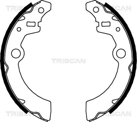 Triscan 8100 69001 - Bremžu loku komplekts ps1.lv