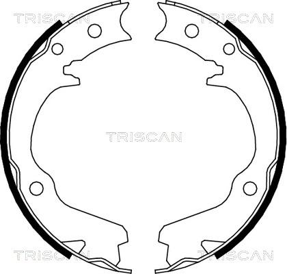 Triscan 8100 68001 - Bremžu loku komplekts ps1.lv