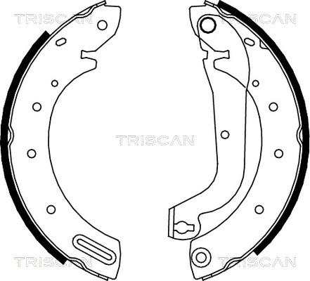 Triscan 8100 14596 - Bremžu loku komplekts ps1.lv