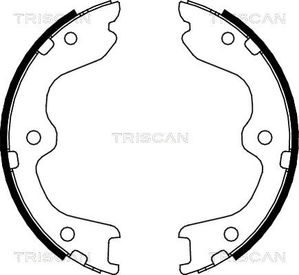 Triscan 8100 14010 - Bremžu loku komplekts ps1.lv