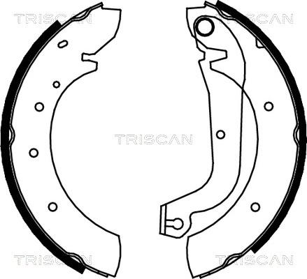 Triscan 8100 15480 - Bremžu loku komplekts ps1.lv