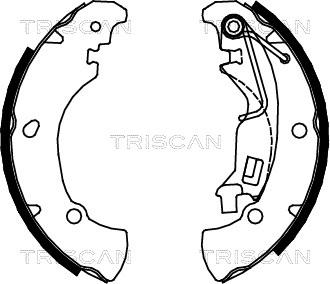 Triscan 8100 15017 - Bremžu loku komplekts ps1.lv