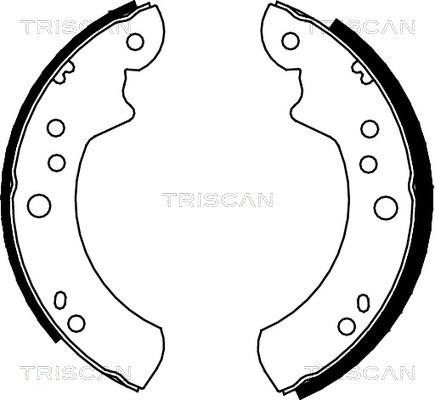 Triscan 8100 16446 - Bremžu loku komplekts ps1.lv