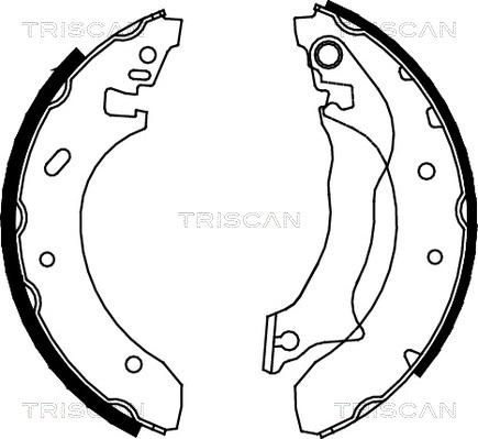 Triscan 8100 16559 - Bremžu loku komplekts ps1.lv