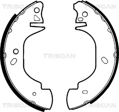 Triscan 8100 16570 - Bremžu loku komplekts ps1.lv