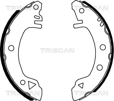 Triscan 8100 16375 - Bremžu loku komplekts ps1.lv