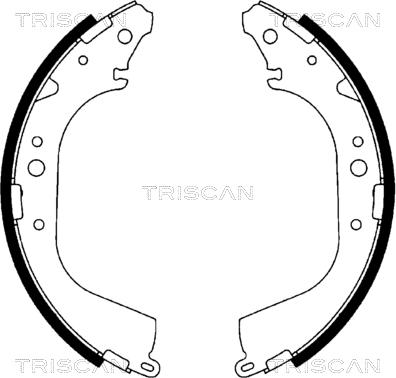 Triscan 8100 10519 - Bremžu loku komplekts ps1.lv