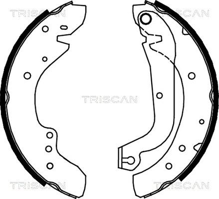 Triscan 8100 10577 - Bremžu loku komplekts ps1.lv