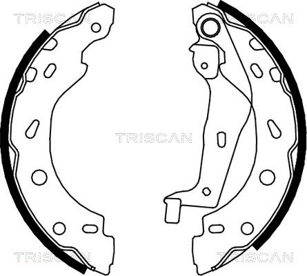Triscan 8100 10005 - Bremžu loku komplekts ps1.lv