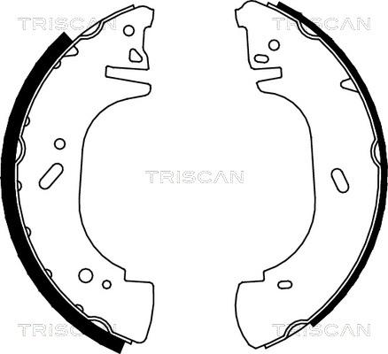 Triscan 8100 10002 - Bremžu loku komplekts ps1.lv