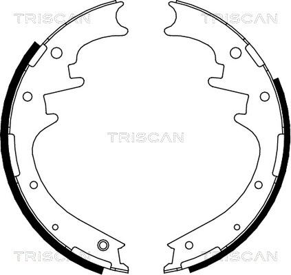 Triscan 8100 10016 - Bremžu loku komplekts ps1.lv