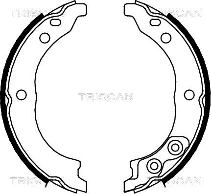 Triscan 8100 10010 - Bremžu loku kompl., Stāvbremze ps1.lv