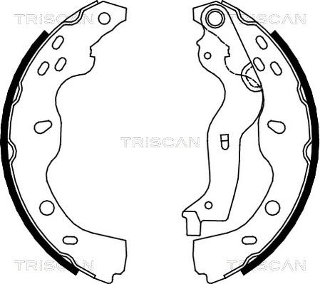 Triscan 8100 10013 - Bremžu loku komplekts ps1.lv