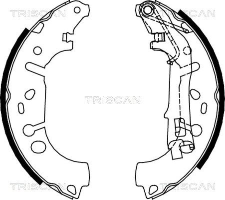 Triscan 8100 10012 - Bremžu loku komplekts ps1.lv