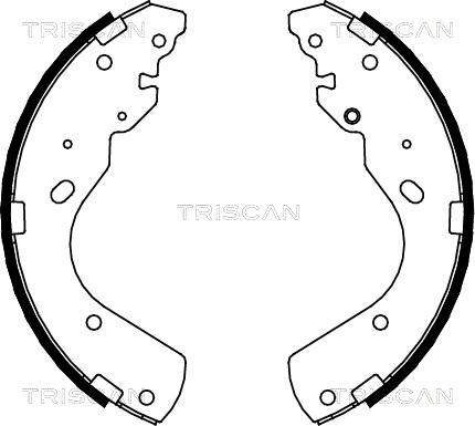 Triscan 8100 10017 - Bremžu loku komplekts ps1.lv