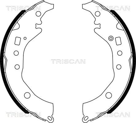 Triscan 8100 10039 - Bremžu loku komplekts ps1.lv