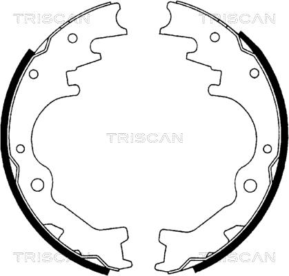 Triscan 8100 10035 - Bremžu loku komplekts ps1.lv