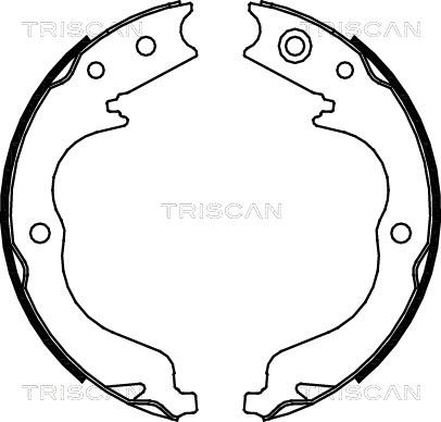 Triscan 8100 10029 - Bremžu loku komplekts ps1.lv