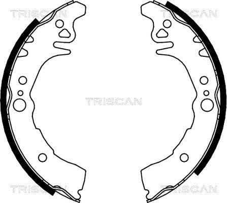 Triscan 8100 10026 - Bremžu loku komplekts ps1.lv