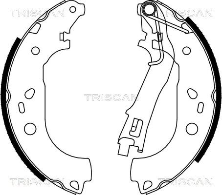 Triscan 8100 10028 - Bremžu loku komplekts ps1.lv