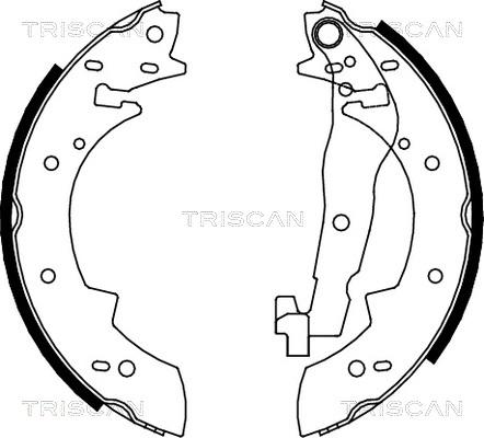 Triscan 8100 10307 - Bremžu loku komplekts ps1.lv