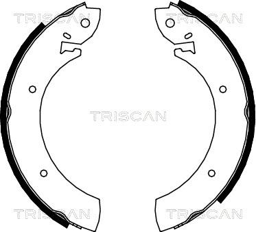 Triscan 8100 10272 - Bremžu loku komplekts ps1.lv