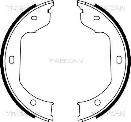 Triscan 8100 11012 - Bremžu loku komplekts ps1.lv
