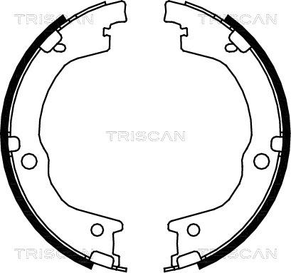 Triscan 8100 18006 - Bremžu loku komplekts ps1.lv