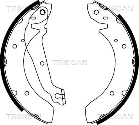 Triscan 8100 18013 - Bremžu loku komplekts ps1.lv