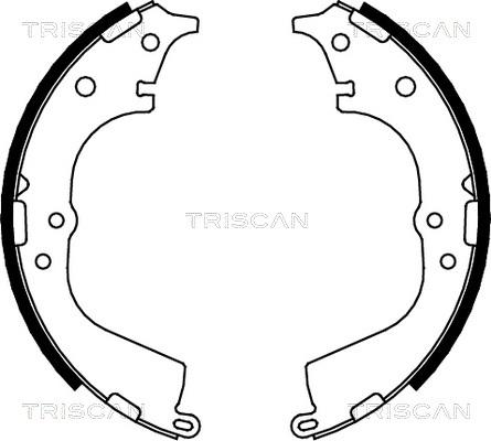 Triscan 8100 13591 - Bremžu loku komplekts ps1.lv