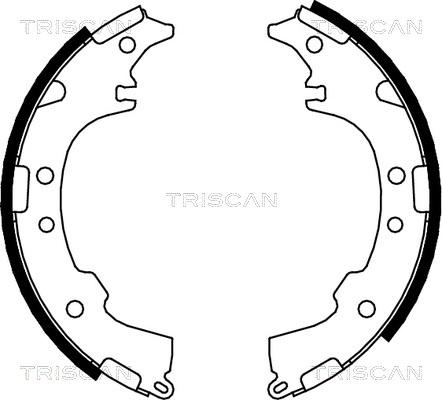 Triscan 8100 13601 - Bremžu loku komplekts ps1.lv