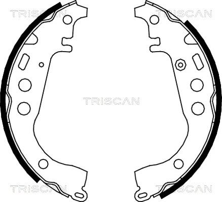 Triscan 8100 13617 - Bremžu loku komplekts ps1.lv