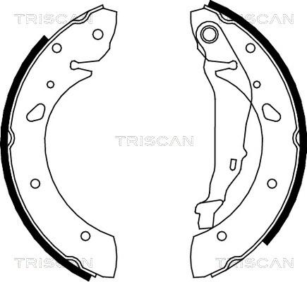 Triscan 8100 13624 - Bremžu loku komplekts ps1.lv