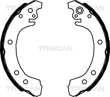 Triscan 8100 13049 - Bremžu loku komplekts ps1.lv