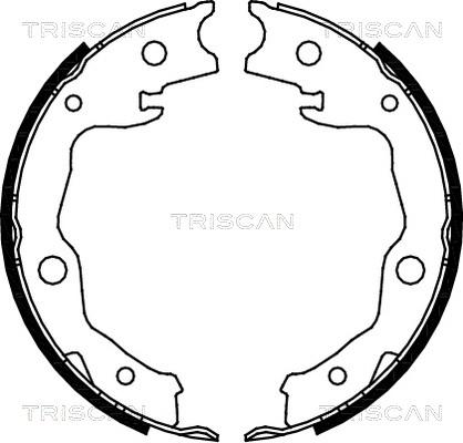 Triscan 8100 13042 - Bremžu loku komplekts ps1.lv