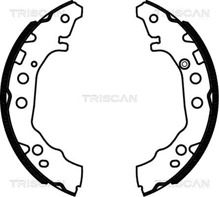 Triscan 8100 13052 - Bremžu loku komplekts ps1.lv