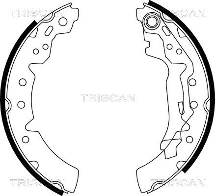 Triscan 8100 13031 - Bremžu loku komplekts ps1.lv