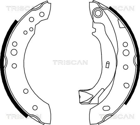 Triscan 8100 38001 - Bremžu loku komplekts ps1.lv