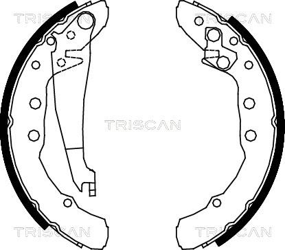 Triscan 8100 29530 - Bremžu loku komplekts ps1.lv