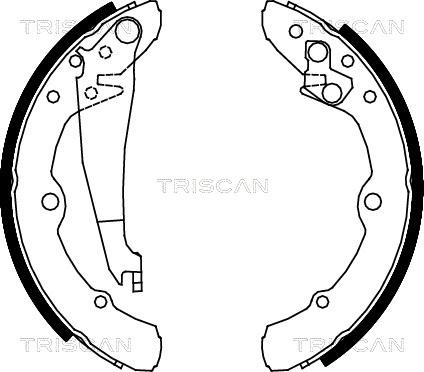 Triscan 8100 29343 - Bremžu loku komplekts ps1.lv