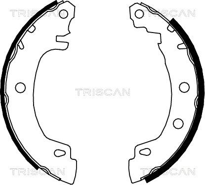 Triscan 8100 25581 - Bremžu loku komplekts ps1.lv