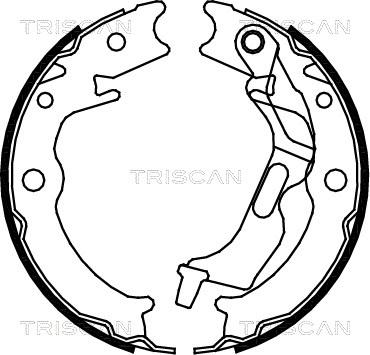 Triscan 8100 21001 - Bremžu loku komplekts ps1.lv