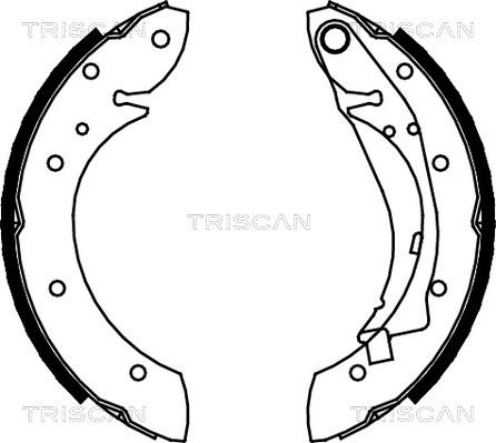 Triscan 8100 28598 - Bremžu loku komplekts ps1.lv