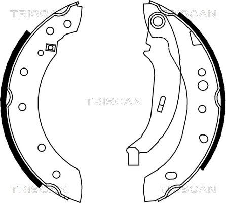 Triscan 8100 28052 - Bremžu loku komplekts ps1.lv