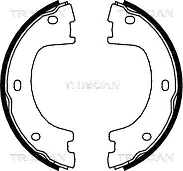 Triscan 8100 23032 - Bremžu loku komplekts ps1.lv