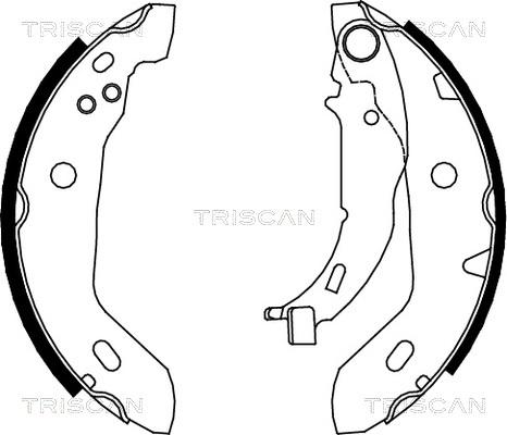 Triscan 8100 23122 - Bremžu loku komplekts ps1.lv