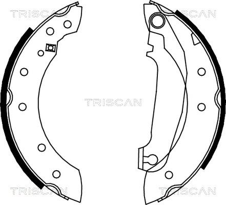 Triscan 8100 27516 - Bremžu loku komplekts ps1.lv