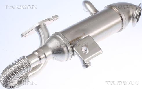 Triscan 8813 16105 - Radiators, Izplūdes gāzu recirkulācija ps1.lv