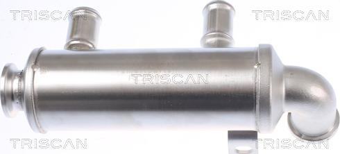 Triscan 8813 10110 - Radiators, Izplūdes gāzu recirkulācija ps1.lv