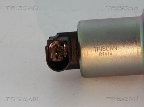 Triscan 8813 29004 - Izpl. gāzu recirkulācijas vārsts ps1.lv